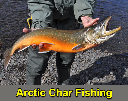 Arctic Char Fishing Iqaluit